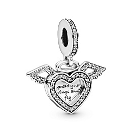 PANDORA Moments Charm / 798485C01