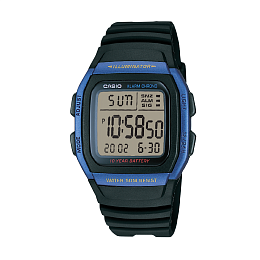 Quartz Wristwatch / W-96H-2AVDF