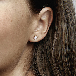 Moments Earring/288427C01