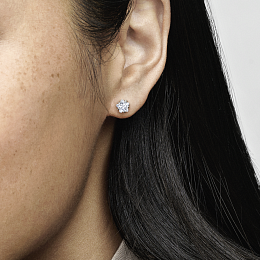 Earring/290023C01