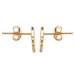 Earring/2530300