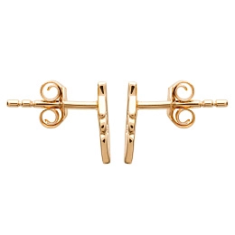 Earring/2530300
