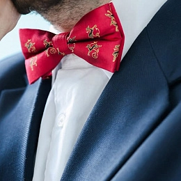 Bow Tie / 10-BTIE-SLK-11-08