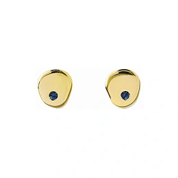 Earring / 7261007DC2