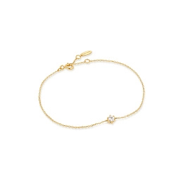 Ania Haie 14K Gold Bracelet/BAU006-01YG