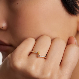 Ring / AN01-647-14