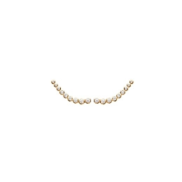 Earring/2514910