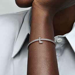PANDORA Moments Charm / 797466