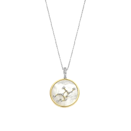Ti Sento Sterling Silver Necklace/6826VI