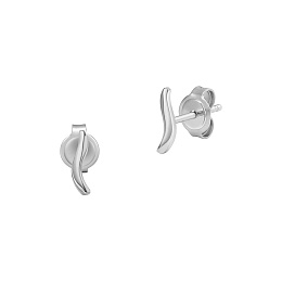 Skagen Stainless Steel Earring/SKJ1791040