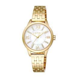 Quartz Wristwatch/ES1L259M6055