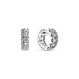 Earring/290058C01