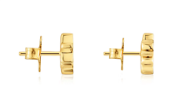 Earring / 1004244200