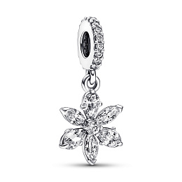 Charm/792382C01
