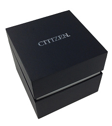 Wristwatch/BF2011-51L