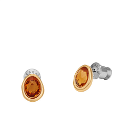 Skagen Stainless Steel Earring/SKJ1739710