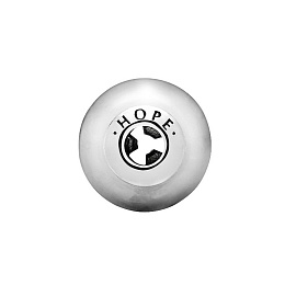 Pandora Timeless Charm / 796008MQ