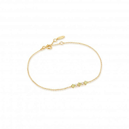 Ania Haie 14K Gold Bracelet/BAU006-02YG