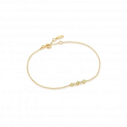 Ania Haie 14K Gold Bracelet/BAU006-02YG