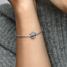 PANDORA Moments Charm / 797590
