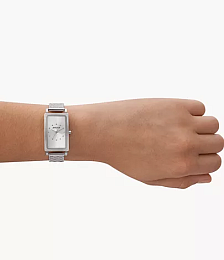 Skagen Quartz Watch Women/SKW3115