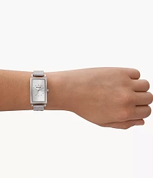 Skagen Quartz Watch Women/SKW3115