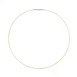 Golden Necklace/1004121700