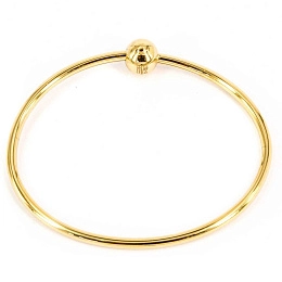 Zag Bijoux Surgical Stainless Steel Bracelet / SBJ7040-01UNI