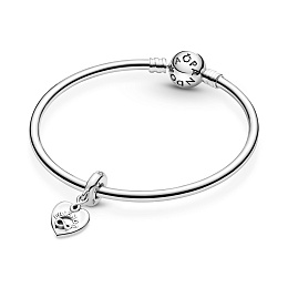 Moments Charm/799294C01