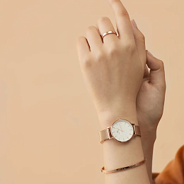 QuartzWristwatch/DW00100163