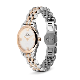 Quartz Wristwatch / DW00100810