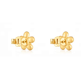 Earring / 1004326000