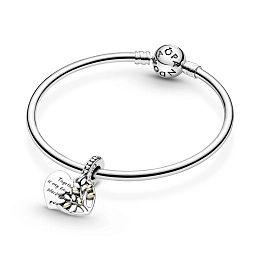 Moments Charm/799161C00