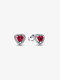 Pandora Timeless Earring / 298427C04