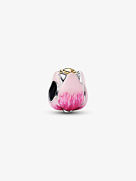 Pandora Moments Charm / 764352C01