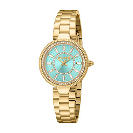 Automatic Wristwatch/JC1L308M0055
