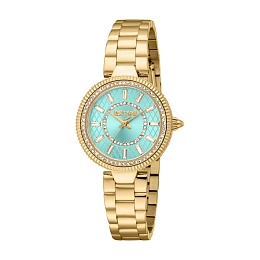Automatic Wristwatch/JC1L308M0055