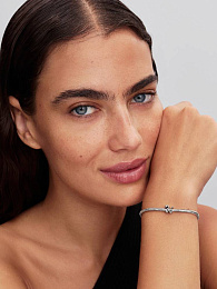 Pandora Moments Charm / 794520C00