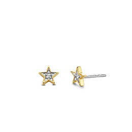 Earring/7863ZY