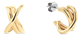 Earring / 2780993