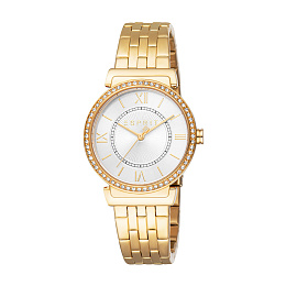 Quartz Wristwatch/ES1L424M0045