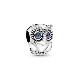 PANDORA Moments Charm / 798397NBCB
