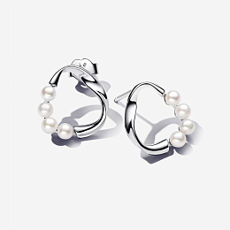 PANDORA Sterling Silver Earring / 293276C01