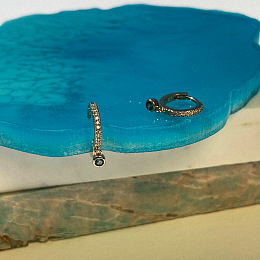 Earring/2634360