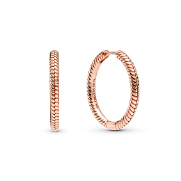 Moments Earring/289532C00