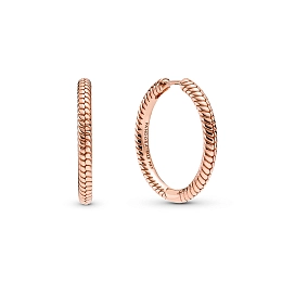 Moments Earring/289532C00