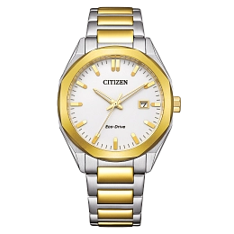 Eco-drive Wristwatch / BM7624-82A