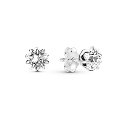 Earring/290023C01