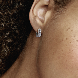 Earring/290058C01