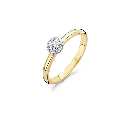 Ring/1131BZI/52